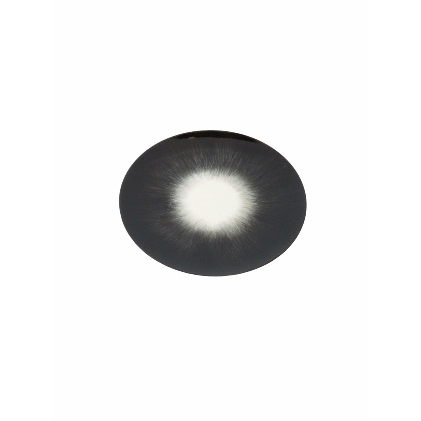 Home Ann Demeulemeester for Serax 14 cm. plates (set of two) Dark Slate Gray