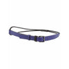 Belt Belt Dim Gray