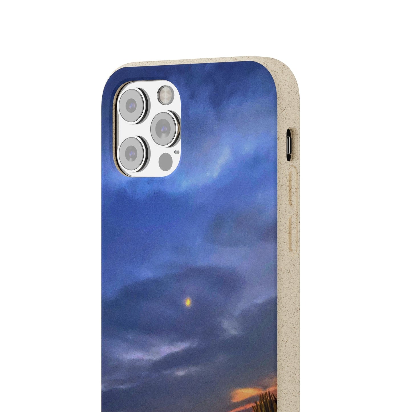 Printify Phone Case Biodegradable Case