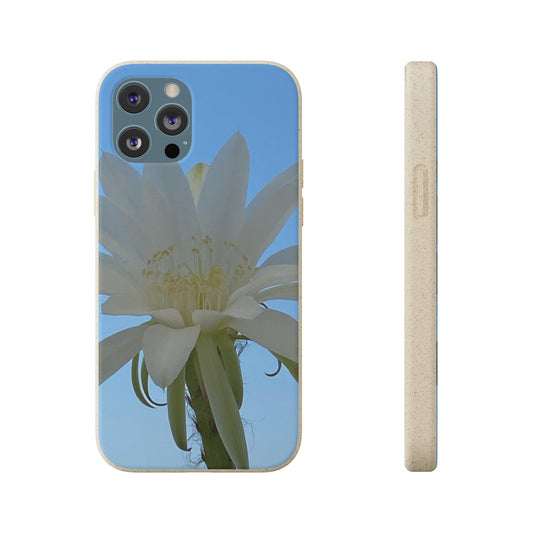 Printify Phone Case iPhone 12 Pro Max Biodegradable Case